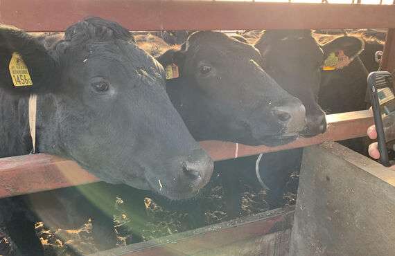 SDIカメラの優位性確認、AHDやTVIなどに比べ歴然の画像比較「見ればわかる」違いを表現可能、きれいの追求を。(株)NSK