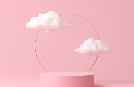 ㈱NSKの360°カメラ【IP-3006F-i7SD5】