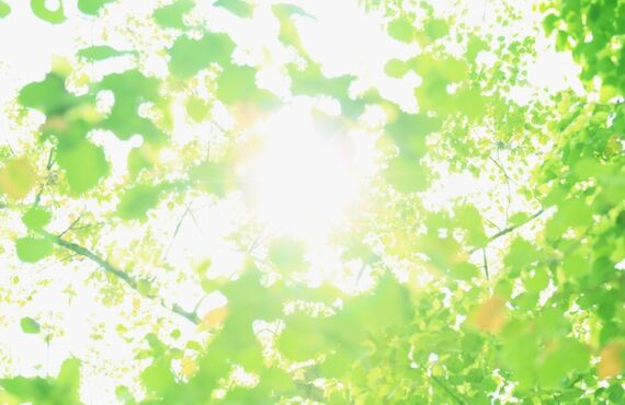 介護の見守りに防犯カメラ！！～日常に安心・安全を～