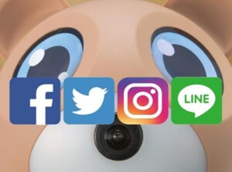 image_6483441 (48) (1)